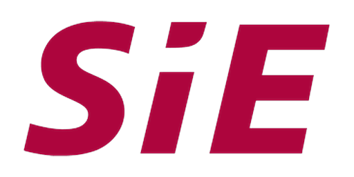Sieye Information · 赛意信息