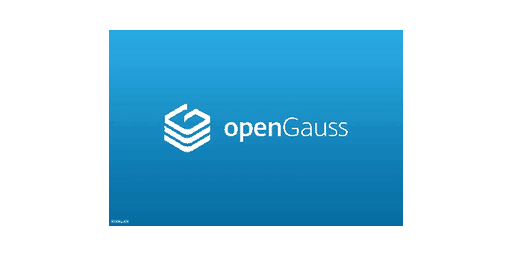 openGauss · openGauss